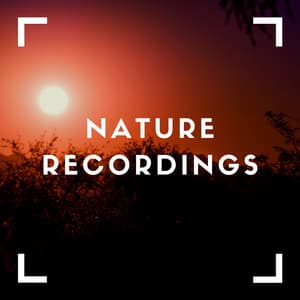 Soothing Sound Recordings - Natural Sample Makers