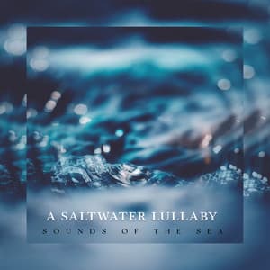 A Saltwater Lullaby - Sounds Of The Sea