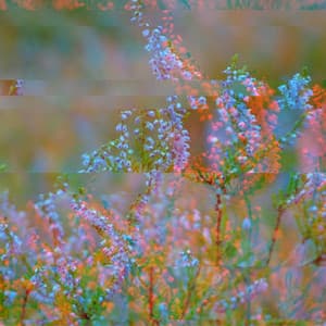 Bgm for Energetic Ballad - Jazz para Dormir Orquesta