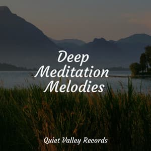 Deep Meditation Melodies - Rain Makers