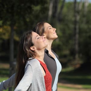 Luminous Tranquility: Ambient Music Delight for Relaxation - Relaxation Calm