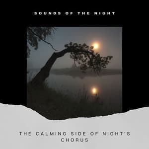The Calming Side of Night's Chorus - Sounds of the Night