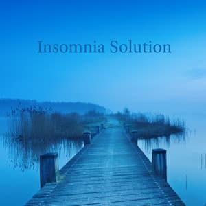 Insomnia Solution - Soft Rain and Relaxing Sleeping Music, Deep Sleep Meditation to Reduce Anger and Stress - Healing Rain Music Zone