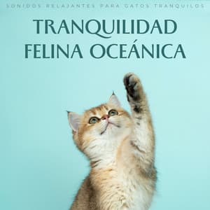 Tranquilidad Felina Oceánica: Sonidos Relajantes Para Gatos Tranquilos - Ruidos del océano