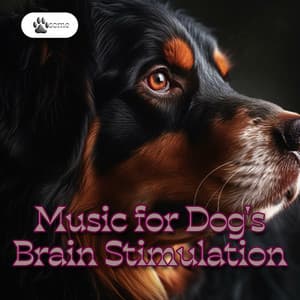 Music for Dog's Brain Stimulation - PAWsome