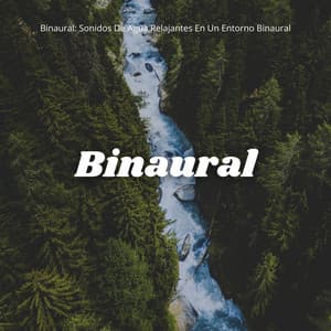Binaural: Sonidos De Agua Relajantes En Un Entorno Binaural - Relajación de ritmos binaurales