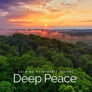 Deep Peace - Calming Rainforest Sounds