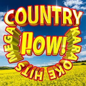 Mega Country Karaoke Hits Pow! - Modern Country Heroes