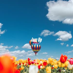 Jazz Up - Wine Bar Music