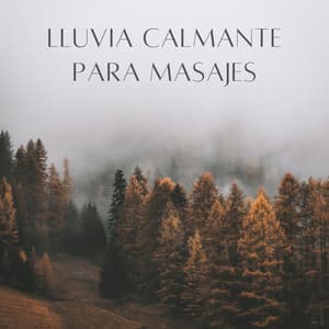 Lluvia Calmante Para Masajes - Danny sonidos de lluvia