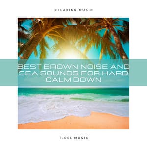 Best Brown Noise and Sea Sounds For Hard Calm Down - Ocean Sound Sleep Baby