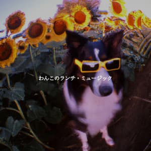 わんこのランチ・ミュージック - Música para Cafeterías