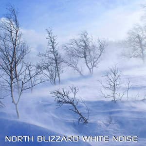 North Blizzard White Noise - White Noise Ambience