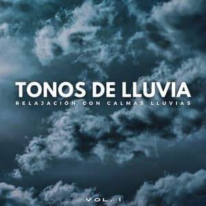Tonos De Lluvia: Relajación Con Calmas Lluvias Vol. 1 - Efectos especiales de lluvia del bosque