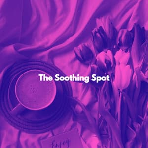 The Soothing Spot - Soft Music Playlisted