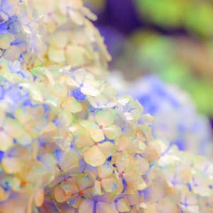 Acoustic and Electric Piano Jazz Duo - Background Music for Upcoming Times - Música Tranquila para Bares