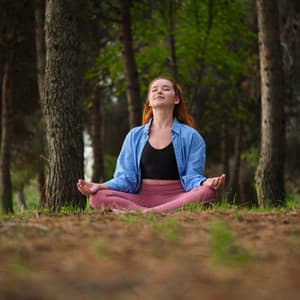 Nature Chorus of Meditation: Crickets and Rain Birds in Harmony - State of Distraction