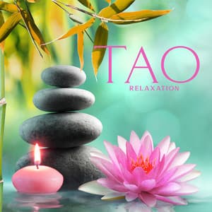 Tao Relaxation: Zen New Age Massage, Flame Aromatherapy, Rainforest Regeneration, Ashiatsu Massage - Pure Massage for Life Universe