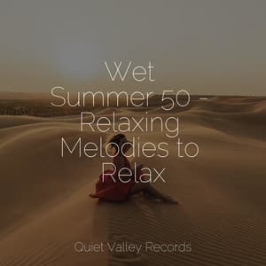 Wet Summer 50 - Relaxing Melodies to Relax - Deep Sleep Brown Noise