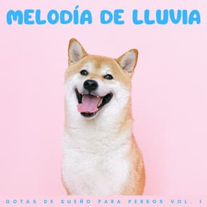 Melodía De Lluvia: Gotas De Sueño Para Perros Vol. 1 - Ruido de Lluvia