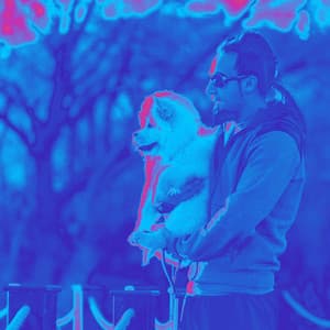 Jazz Guitar - Bgm for Safe Doggies - Calming for Dogs