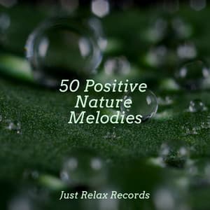 50 Positive Nature Melodies - Musica Reiki