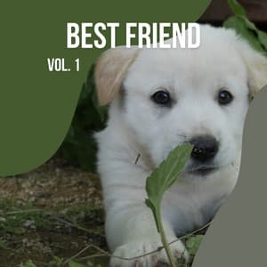 1 Best Friend Vol. 1 - Dogs Music Therapy