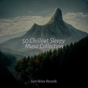 50 Chillout Sleepy Music Collection - Natural Sounds