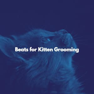 Beats for Kitten Grooming - Relaxing Instrumental Jazz Cafe