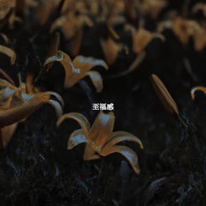 至福感 - Jazz & Coffee Moments