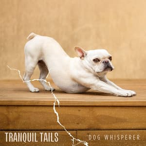 Tranquil Tails - Dog Whisperer