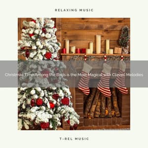 Christmas Time Among the Birds is the Most Magical with Classic Melodies - Relaxing Music Therapy
