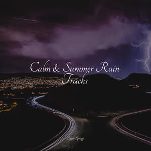 Calm & Summer Rain Tracks - Rainfall For Sleep
