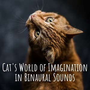 Cat's World of Imagination in Binaural Sounds - Calm Music