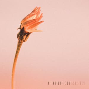 Wingshield - Axelites