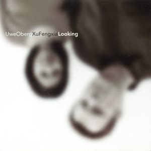 Looking - Uwe Oberg