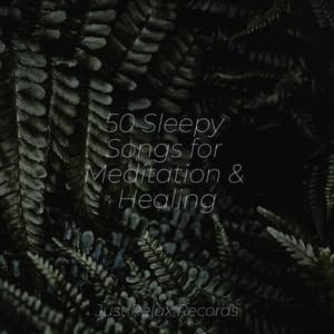 50 Sleepy Songs for Meditation & Healing - Relaxing Music