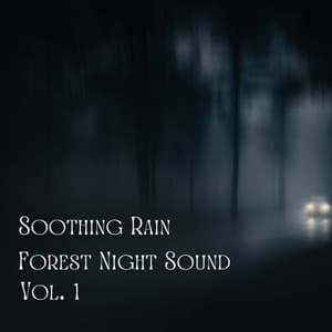 Soothing Rain Forest Night Sound Vol. 1 - Gentle Rain Makers
