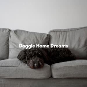 Doggie Home Dreams - Cafe & Chill