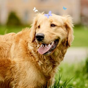 犬の人生 - Jazz Rilassante Collezioni