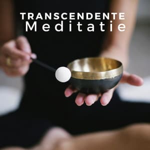 Transcendente Meditatie 1 UUR - Positief Denken