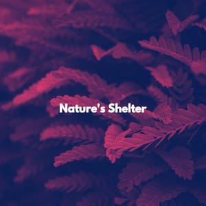Nature's Shelter - Music for Studying Playlist