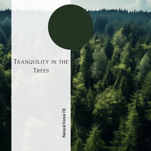 Tranquility in the Trees: Forest Soundscapes - Natural Forest FX