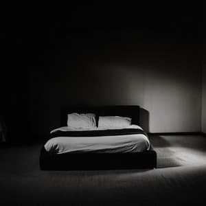 El Sueño Envuelve Cada Noche: Música Para Sueños Tranquilos - Maravilla silenciosa