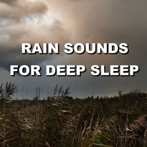 Rain Sounds for Deep Sleep - Wind and Rain Sounds