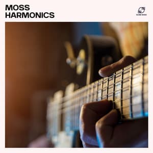 Moss Harmonics - Guitar Music Club