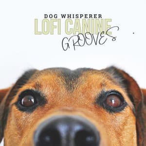 Lofi Canine Grooves - Dog Whisperer