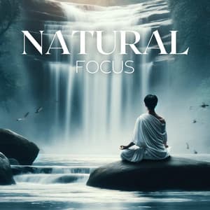 Natural Focus: Zen Meditation Bliss - Meditation Music Therapy