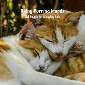 Rainy Purring Moods: Chill Sounds for Snuggling Cats - Rain Therapy