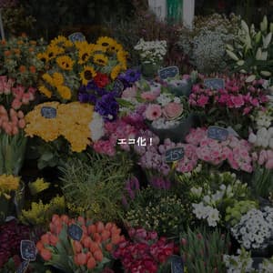 エコ化！ - French Cafe Jazz Luxury